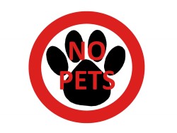 To “allow” or “not allow” pets in your apartments?