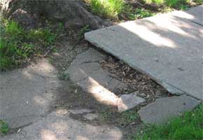 St. Louis sidewalk repair