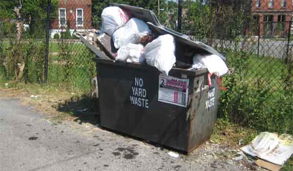 St. Louis City recycling bins begin appearing